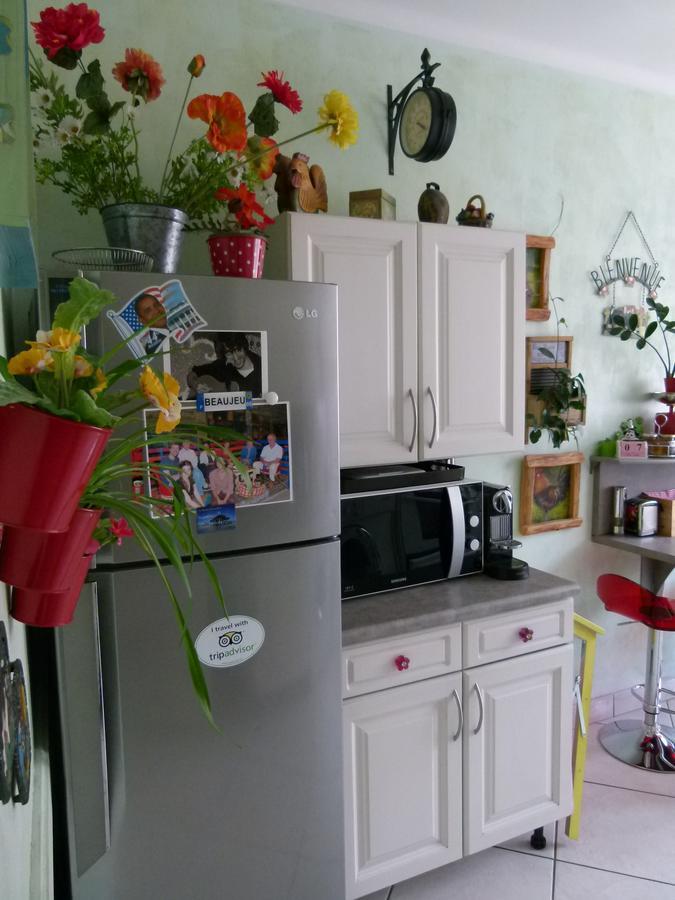 St Pothin Village Avec Garage Ліон Екстер'єр фото